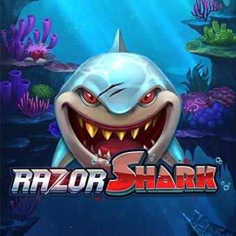 Razor Shark – Überblick